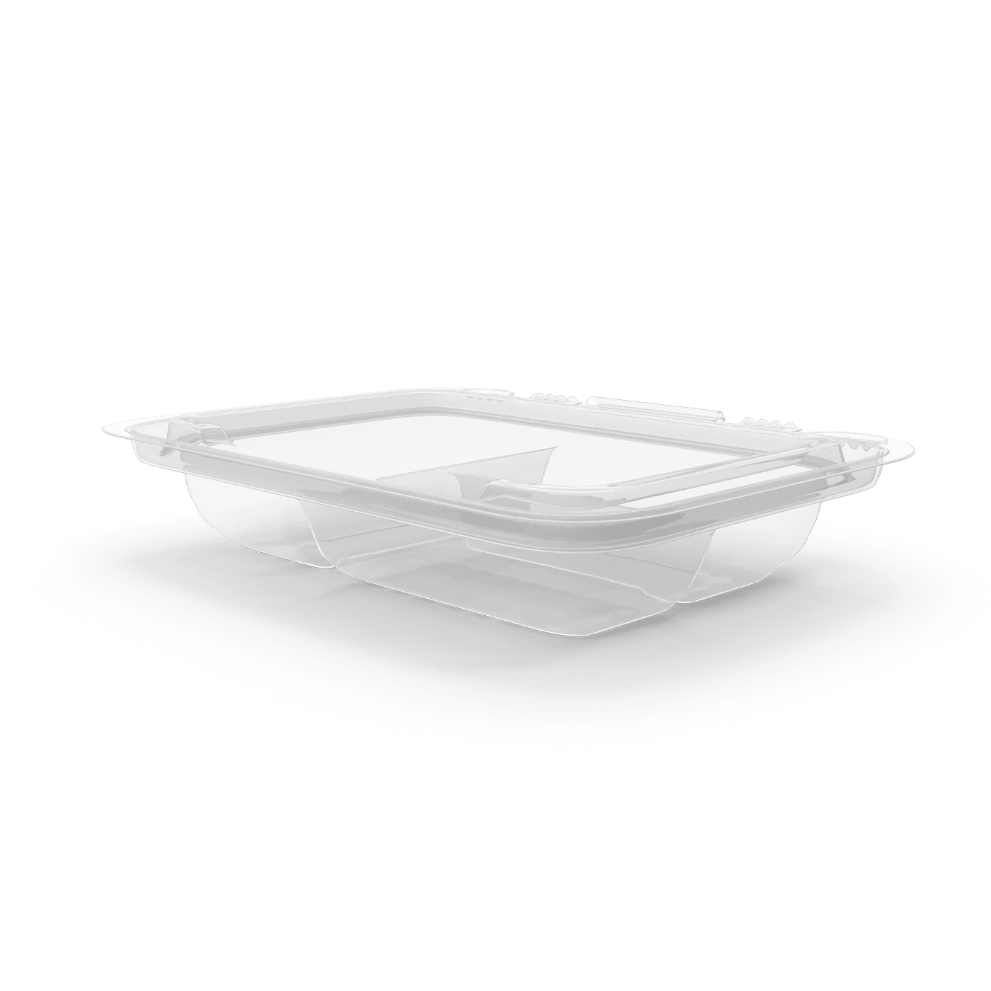 Plastic divider ready meal tray.